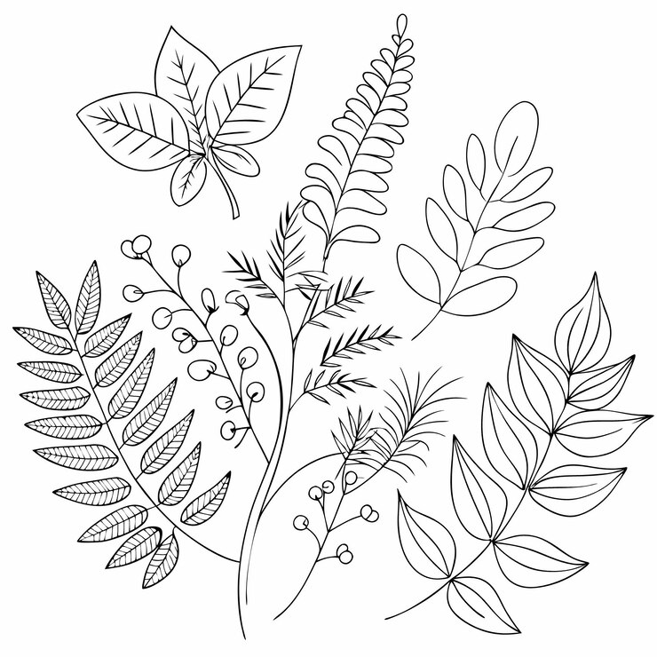 Wektor elegantna czarno-biała ilustracja kwiatowa