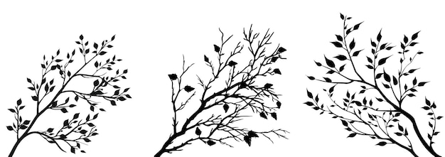 Elegantna jesień Czarno-biała ilustracja gałęzi botanicznej dla projektów przyrody