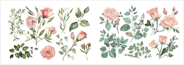 Elegantna kolekcja akwarelowych kwitnących róż i liści Doskonała do zaproszeń, pozdrowień i sztuki na ścianie