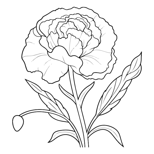 Elegantna konturowa ikona goździka w wektorze idealna do wzorów kwiatowych