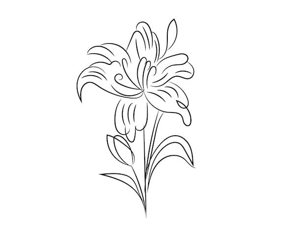 Elegantna linia kwiatów lilii