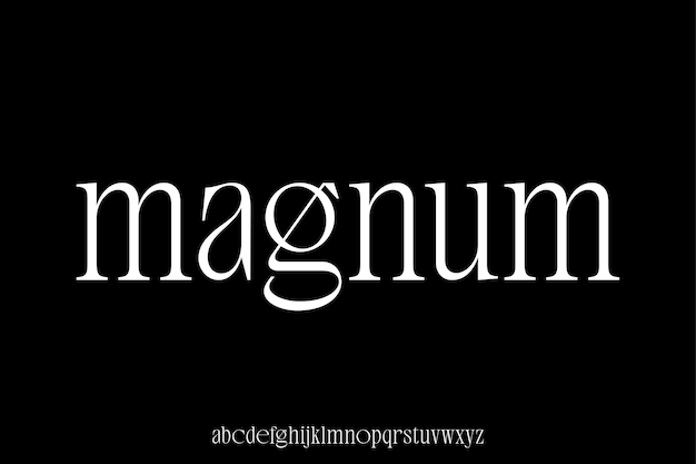 Plik wektorowy elegantny nowoczesny alfabet serif wyświetla wektorowy czcionka minimalistyczna czcionka magnum
