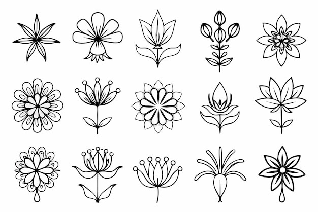 Elegantny zestaw Shallouette Flower Line Art