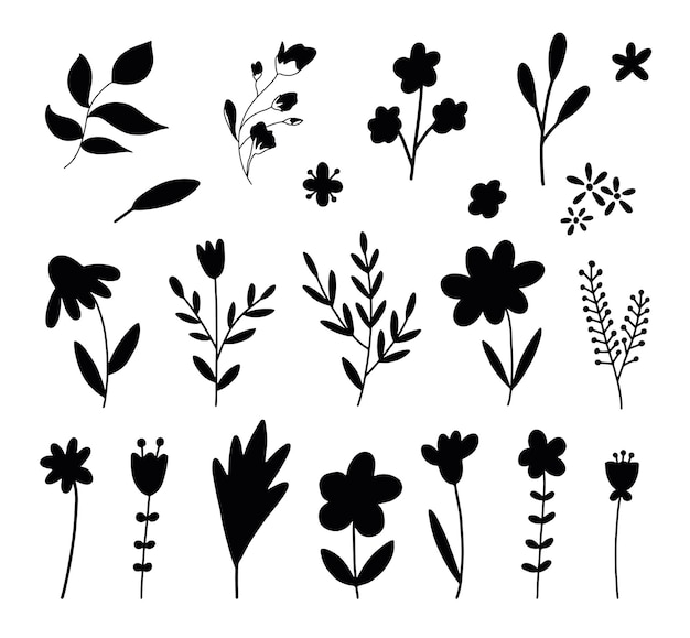 Element botaniczny kwiatowy kwiat zestaw na białym tle wektor sylwetka
