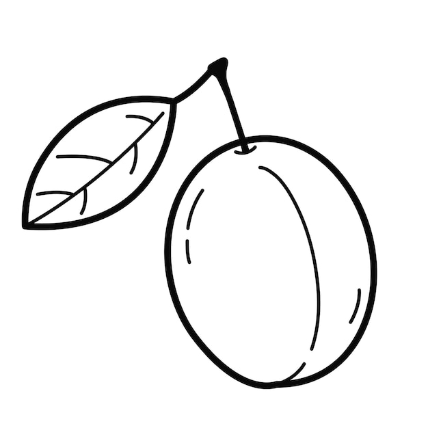 Element Projektowy Ilustracji Fruits Plum Outline