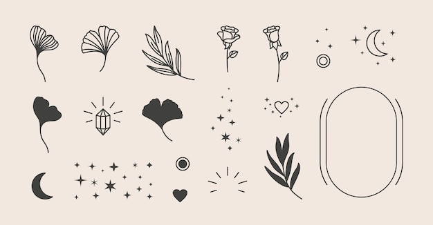 Elementy Do Projektowania Logo - Róża, Liść Miłorzębu Japońskiego, Gwiazdy, Księżyc, Rama. Ilustracja Wektorowa W Minimalistycznym Stylu Liniowym. Tworzenie Logo, Nadruków, Wzorów, Plakatów I Innych Projektów