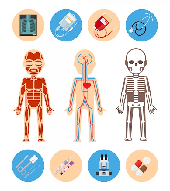 Elementy Medyczne Infografiki