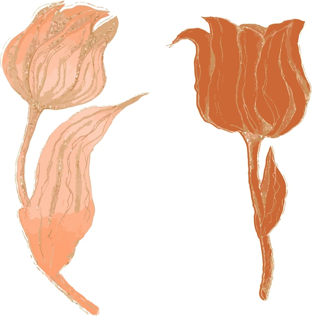 Plik wektorowy elementy roślinne kwiaty tulipany ilustracja na białym tle w stylu akwareli