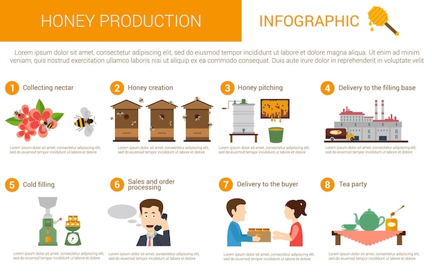 Etapy Lub Kroki Procesu Produkcji Miodu W Infografice