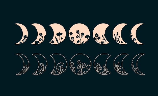 Fazy Księżyca Z Kwiatowymi Ilustracjami Faz Księżyca W Stylu Bohemy Sylwetka I Kontur