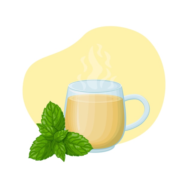 Plik wektorowy filiżanka herbaty przezroczysty kubek z gorącym napojem leczniczy wywar z mięty filiżanka z liśćmi mięty ilustracja wektorowa