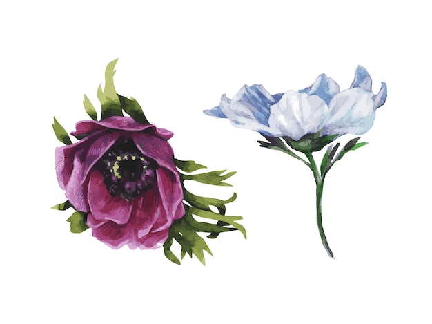 Fioletowe I Niebieskie Pąki Kwiatowe W Formacie Wektorowym Na Białym Tle