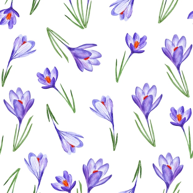 Plik wektorowy fioletowe krokusy kwiaty akwarela bezszwowe wzór wiosenne kwiaty do wystroju