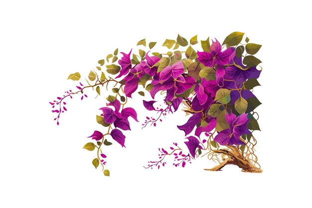 Fioletowy Bougainvillea tropikalny kwiat krzew wspinaczka wektor ilustracja desing