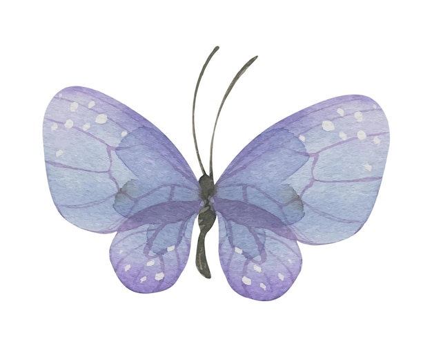 Fioletowy Motyl Ręcznie Rysowana Akwarela Ilustracja Odizolowany Obiekt Na Białym Tle Do Dekoracji I Projektowania