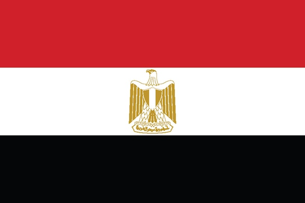 Plik wektorowy flaga egiptu flaga narodu