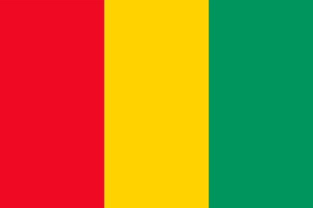 Flaga Gwinei Oficjalne Kolory I Proporcje Ilustracja Wektorowa