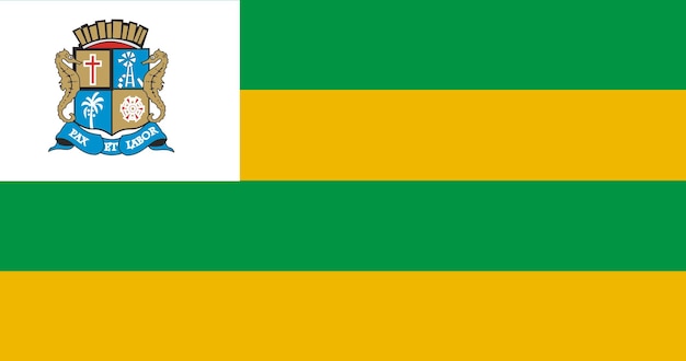 Plik wektorowy flaga miasta aracaju w brazylii grafika wektorowa