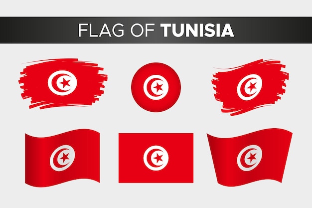 Flaga narodowa tunezji w stylu falistego okręgu i płaska konstrukcja pędzla