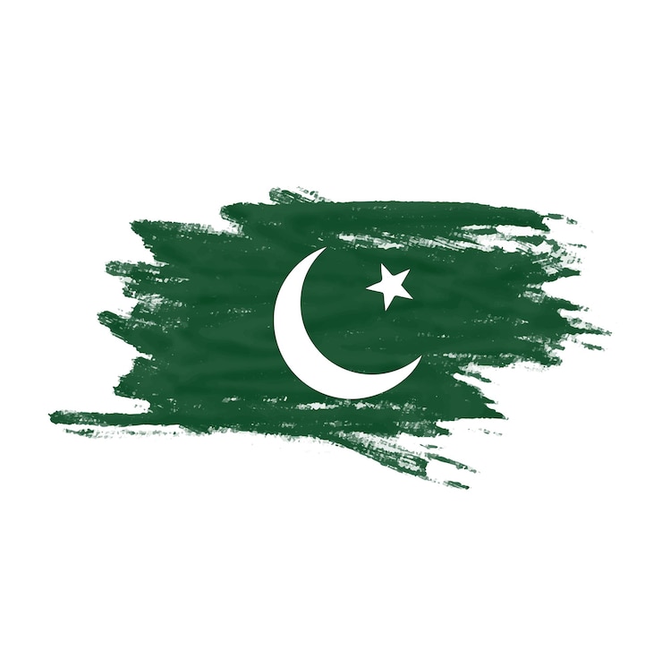 Wektor flaga pakistanu flaga pakistanu flaga pakistanu akwarela styl pędzla flaga pakistanu