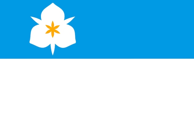 Flaga Salt Lake City 2020