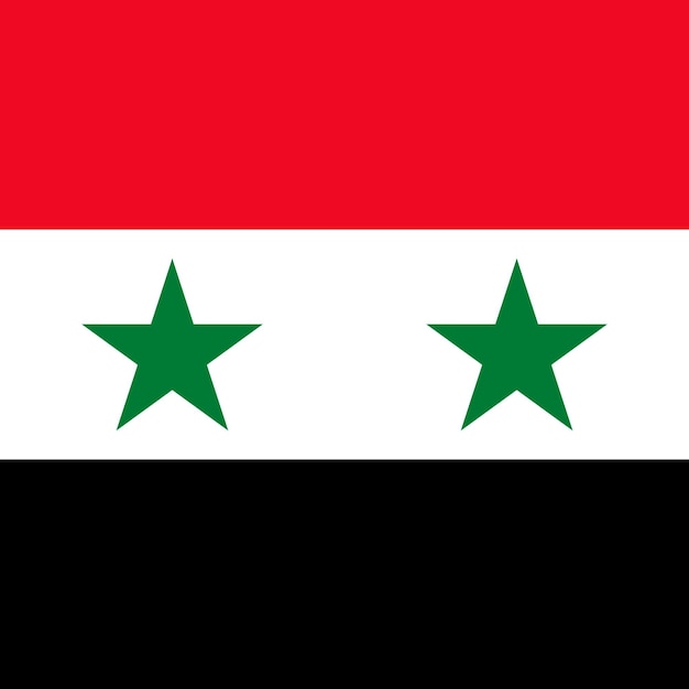Flaga Syrii oficjalne kolory ilustracji wektorowych