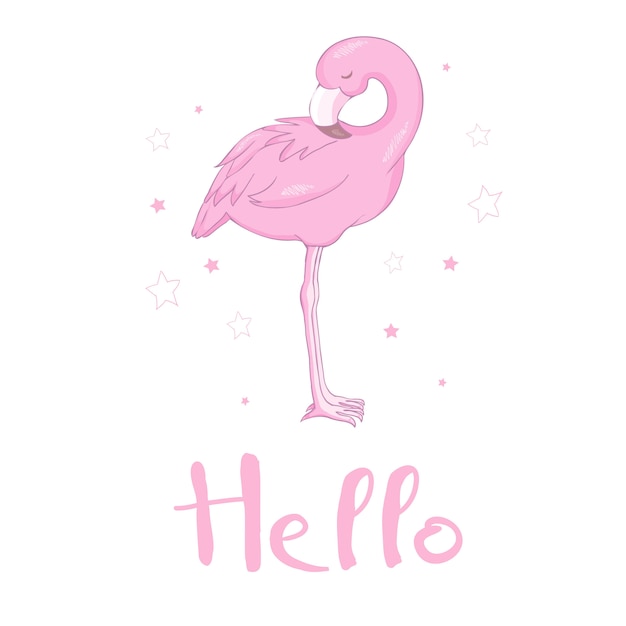 Flamingo Bird