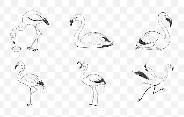 Flamingo Line Art Vector Set eleganckich ilustracji Flamingo w minimalistycznym stylu dla kreatywnych de