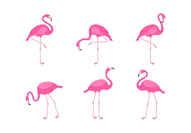 Flamingo Wektor Zestaw Kreskówka Różowy Tropikalny Ptak Lato Ikona Zwierząt ładny Charakter Zoo Egzotyczna Fauna