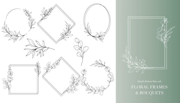 Floral Line Art Eukaliptus Kwiat Kontur Ręcznie Narysowany Kontur Eukaliptus Izolowany