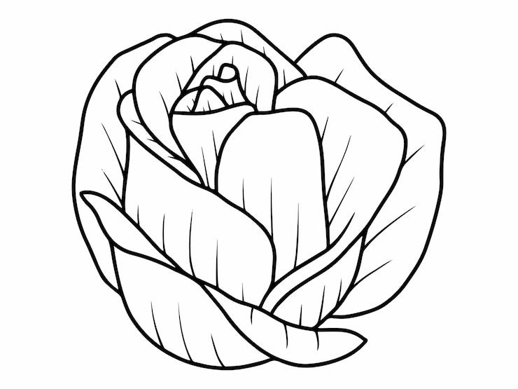 Wektor flower line art