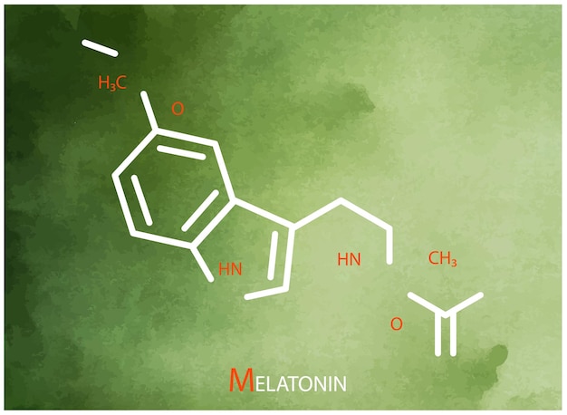 Formuła Melatoniny Wektor Cienka Linia Ikona Struktury Molekularnej Melatoniny