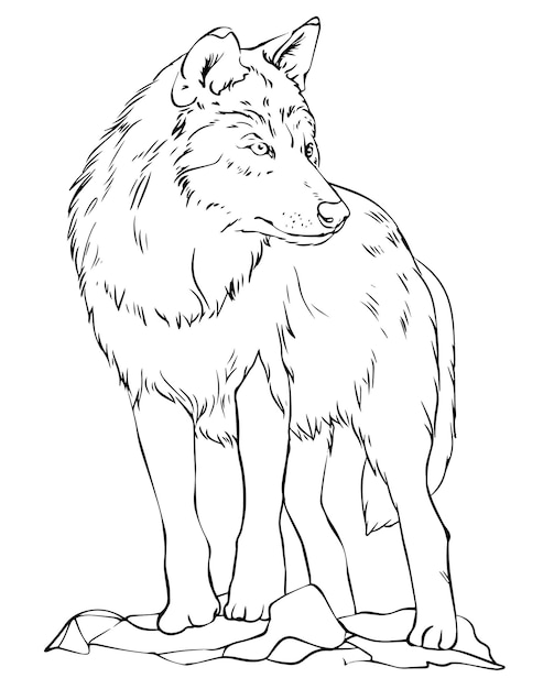 Plik wektorowy fox wektor czarno-biały rysunek linii