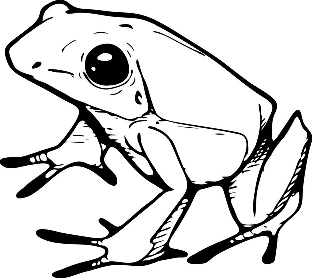 Plik wektorowy frogie