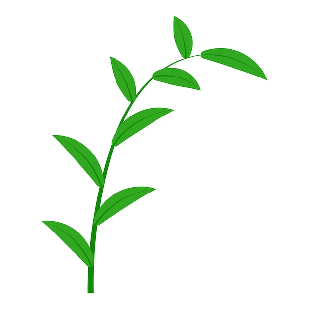 Gałązka Z Zielonymi Liśćmi, Symbolem Wiosny I Wzrostu, Gałąź Rośliny
