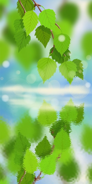 Plik wektorowy gałęzie brzozy na tle błękitnego nieba odbicie w wodzie jasne wiosenne tło młode zielone liście