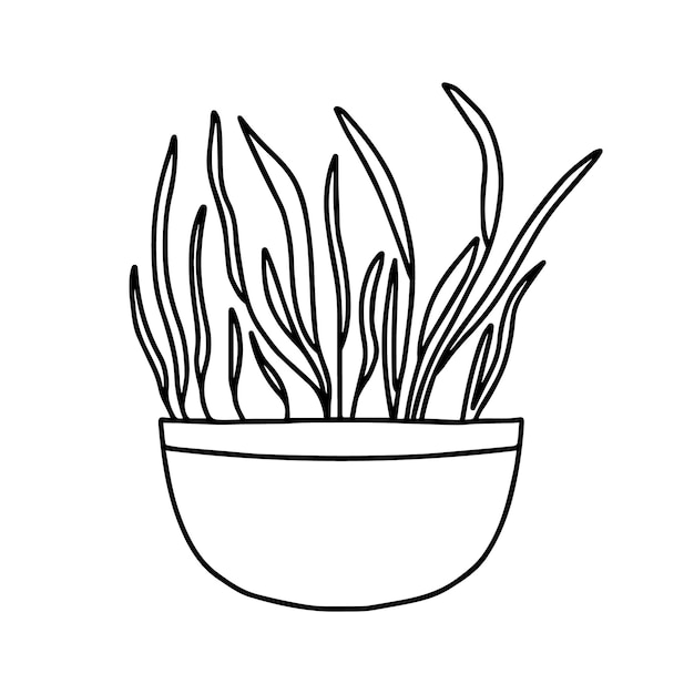 Garnek Microgreens Microgreens Groszek Rzodkiewka Cebula Rukola Buraki Słonecznika I Inne Ilustracja Wektorowa Na Białym Tle Doodle Styl Ilustracja Wektorowa