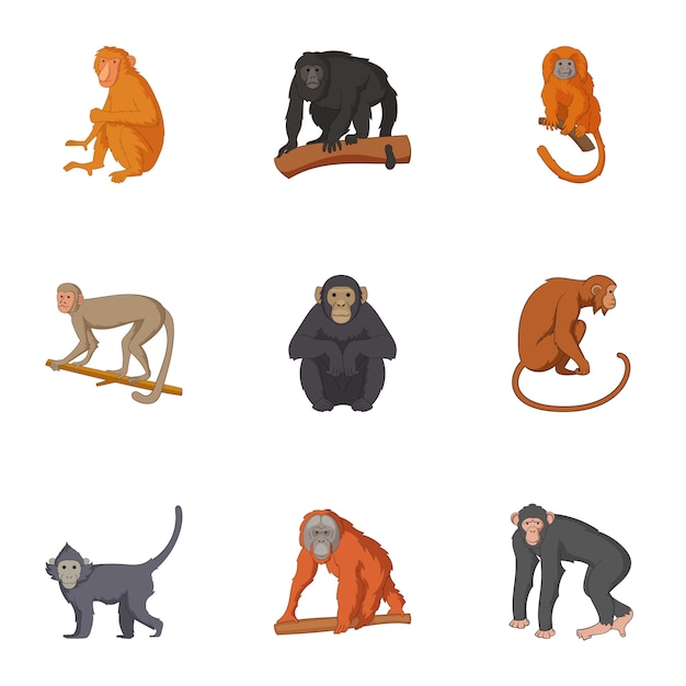 Plik wektorowy gatunki zestaw ikon szympansa, stylu cartoon