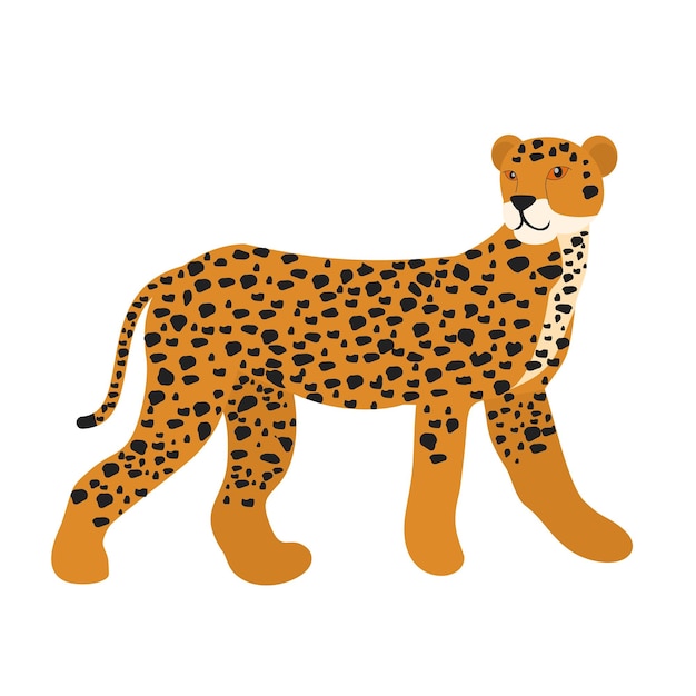 gepard zwierzę wektor ilustracja ikona obraz