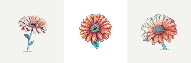 Gerbera Wektor Clipart Ilustracji