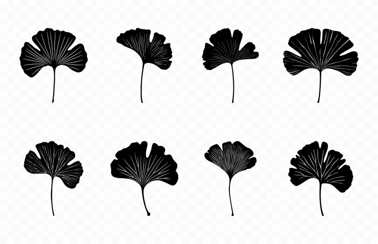 Wektor ginkgo biloba leaf silhouette vector bundle ginkgo leaves silhouettes clipart set