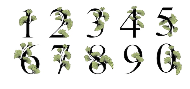 Plik wektorowy ginkgo biloba liście numer alfabetu odznaka i ikona w modnym liniowym ręcznie rysowanym stylu numer wektorowy i gałąź ginkgo ilustracja dla kosmetyków leków żywności ekologicznej ślub