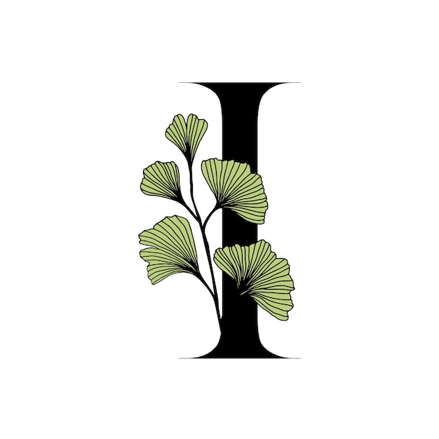 Plik wektorowy ginkgo biloba pozostawia alfabet i odznaka i ikona w modnym, liniowym, ręcznie rysowanym stylu logo wektora godło, litera i gałąź ginkgo ilustracja dla kosmetyków, leków, żywności organicznej