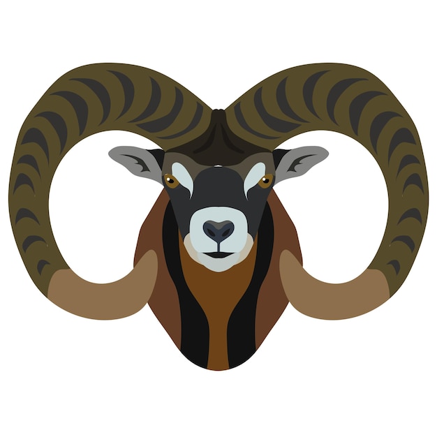 Głowa Owiec Górskich Portret Małych Bydła Izolowany Na Białym Tle Element Projektu Logo Plakat Karty Baner Godło Tshirt Ilustracji Wektorowych