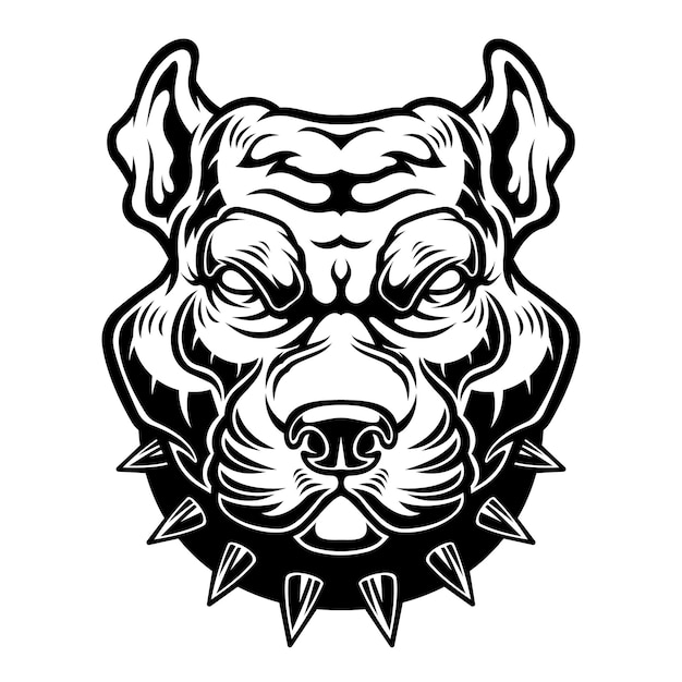 Głowa psa Pitbull Terrier.