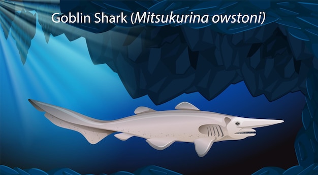 Plik wektorowy goblin shark mitsukurina owstoni vector design