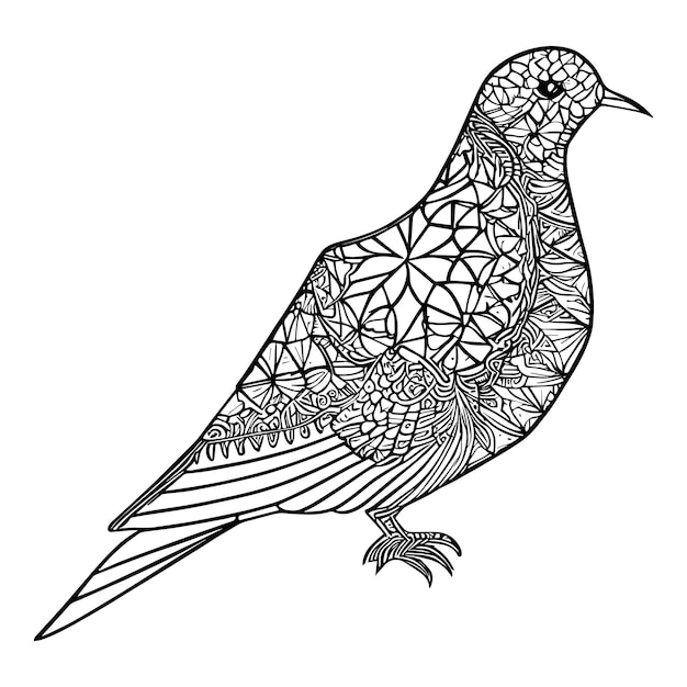 gołąb ozdoby ilustracji wektorowych zwierząt
