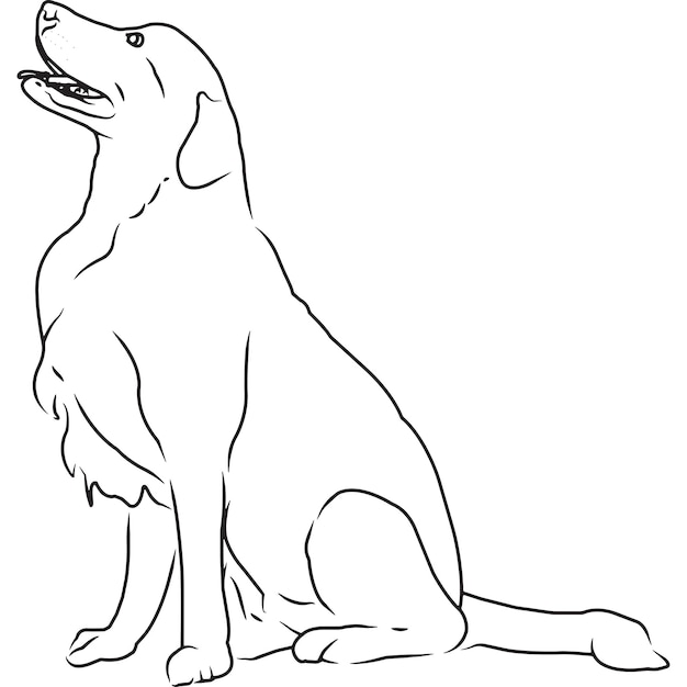 Golden Retriever Pies Ręcznie Naszkicowany Rysunek Wektorowy