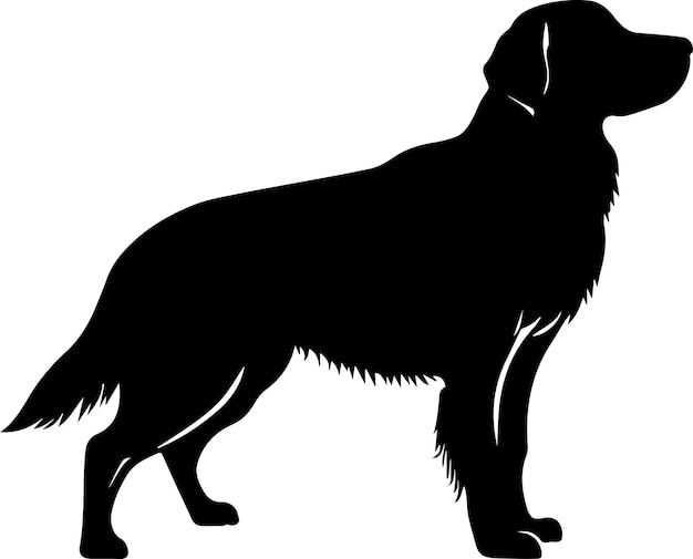 Golden retriever pies wektor sylwetka ilustracja