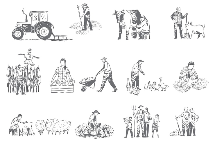 Wektor gospodarstwo rolne, ilustracja koncepcja gospodarki wiejskiej